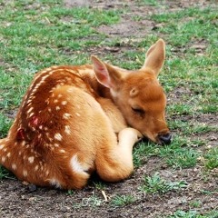 crazy fall playlist to cure my depression