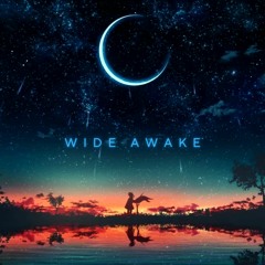 SICKBOYZ - Wide Awake [Free Download]