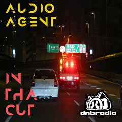 In Tha Cut 208 (DNBRadio 11-02-2025)