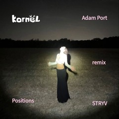 Adam Port - Positions (kornel remix) free download