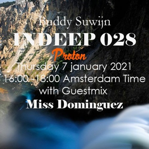 Guestmix INDEEP 028 Buddy Suwijn @PROTON RADIO 2021-01-07