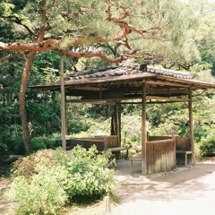 Low Profile on Dublab (05/24/23)