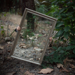 Hidden Mirror