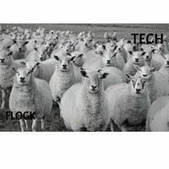 Flock