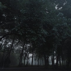 Ambient tracks