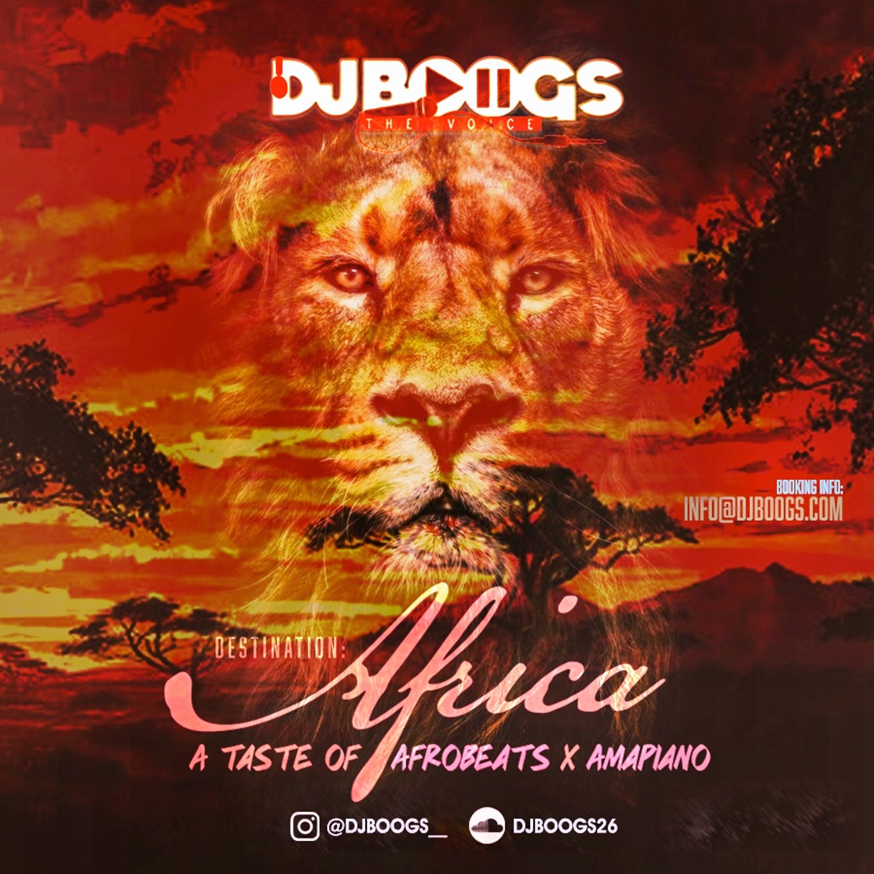 Dj Boogs Mixes