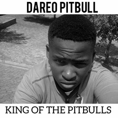 Dareo Pitbull _Feeling The Vibe.mp3