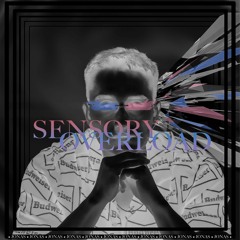 Sensory Overload
