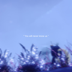 You will never know us