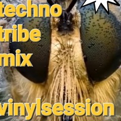 DJ MIX -  Techno Tribe Vinyl Session - Dj Quantune - 23.09.23 vinylcomebacktrainingmode