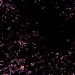 Beacon 2 (Prod. Kyu wav & Svint6)