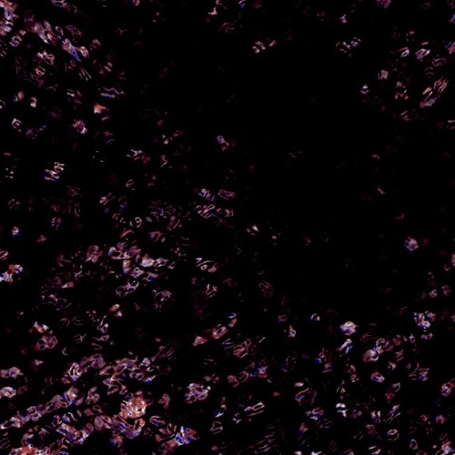 Beacon 2 (Prod. Kyu wav & Svint6)
