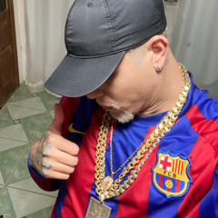 FUZUE NO CARRO BICHOO (DJ MR DE GUARAPA)