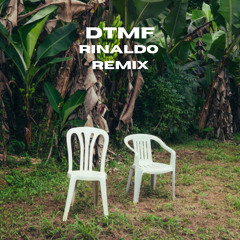 Bad Bunny - DtMF (RINALDO Remix)