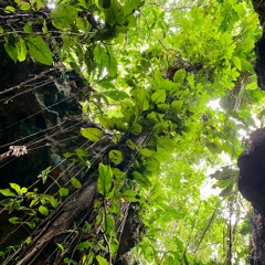 Kèj @ Private Villa - Tulum, MX