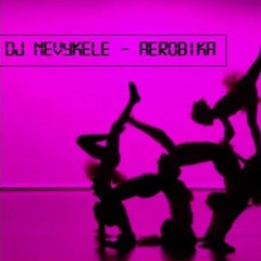 Dj Nevykele - Aerobika