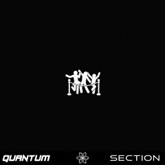 Section - LYNY (Quantum Re-Image)