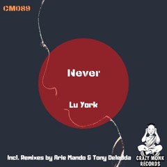 Lu York - Never (Original Mix)