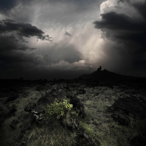 Lauge - Cold Winds Mix (Valley View Records - Showcase October 2022)