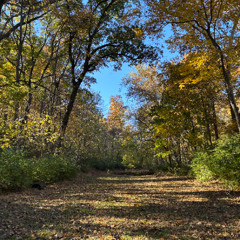 Figure it out (p. cksaustin)