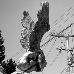 🆕 145,156 NEW HARD RODO SALAMON FULL SET