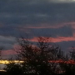 Nevik Osuna - The mission (freestyle)