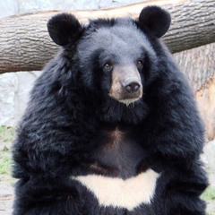 rollinthrax - mac n cheese (@onesaiah + @dyingtmmr)