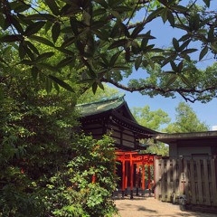 Kyoto Castle