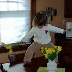 sheepdog: youve gotta stop dying on all these hills