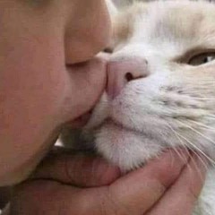 Gia nhu phut choc anh nam lay em | Slowed & Reverb