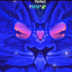 PerfectP.By Tk8smooth