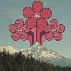 make some noise - house set by MONIXON