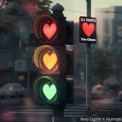 Red Lights X Human (Tiesto vs The Killers) (Hank M & Kei P Mashup)