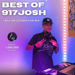 BEST OF 917JOSH - 1 Million Celebration Mix (Viral TikTok Mashups)
