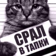 ШАНСОН САЙФЕР +хулагу 3g #FUCK_TURBO2000 (prod. soundcloudproducer)
