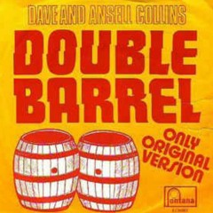 45. Double Barrel