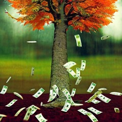 Pentatriaster - Internal Fall 2020 - no edit