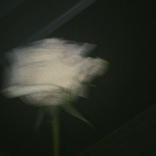 Chase Atlantic- PLEASEXANNY (Slowed & Reverb)