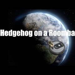Dusty Douglas - Hedgehog On A Roomba [Official Music Video]