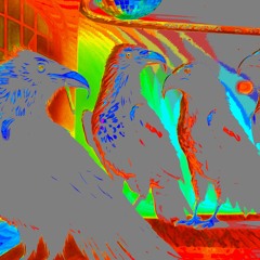 RAVE'N