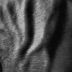 E.M.I.L.Y. (You're a Shining Star)