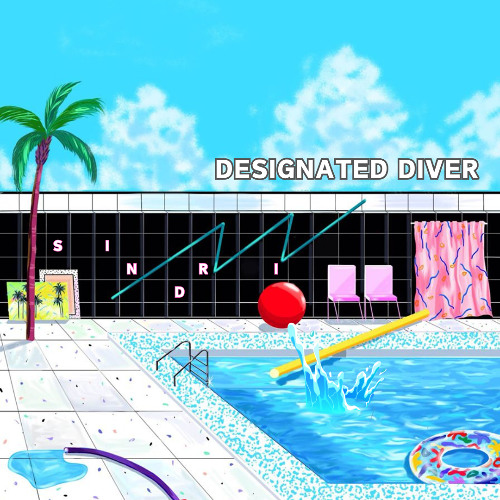 DESIGNATED DIVER