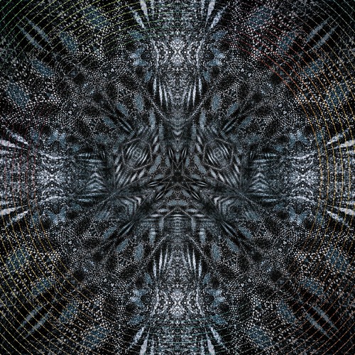 Divagação - Svayam | EnigmaCurry