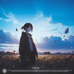 VIZIØN - HAZE