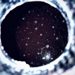 monocosm (DESC)