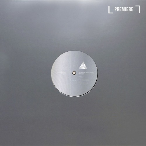 PREMIERE: Versalife - Reality Distortion Field (TRSD008)