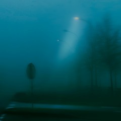 arbour x fantompower - mid-morning fog