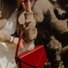 Sentient x Wildseeds