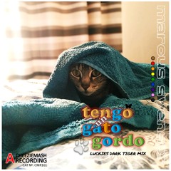 Marcus Svensor - Tengo Un Gato Gordo [Luckies Dak Tiger Mix]