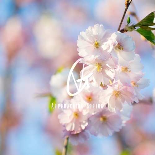 Approaching Spring